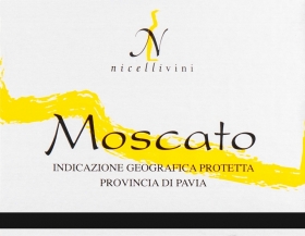 Moscato - Vino Bianco Dolce - Vite  Uva  Vino