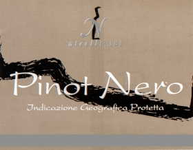 Pinot Nero - Vino Bianco - Vite  Uva  Vino