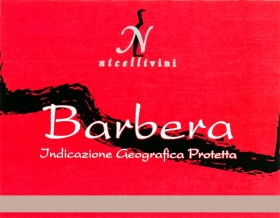 Barbera - Vino Rosso - Vite  Uva  Vino